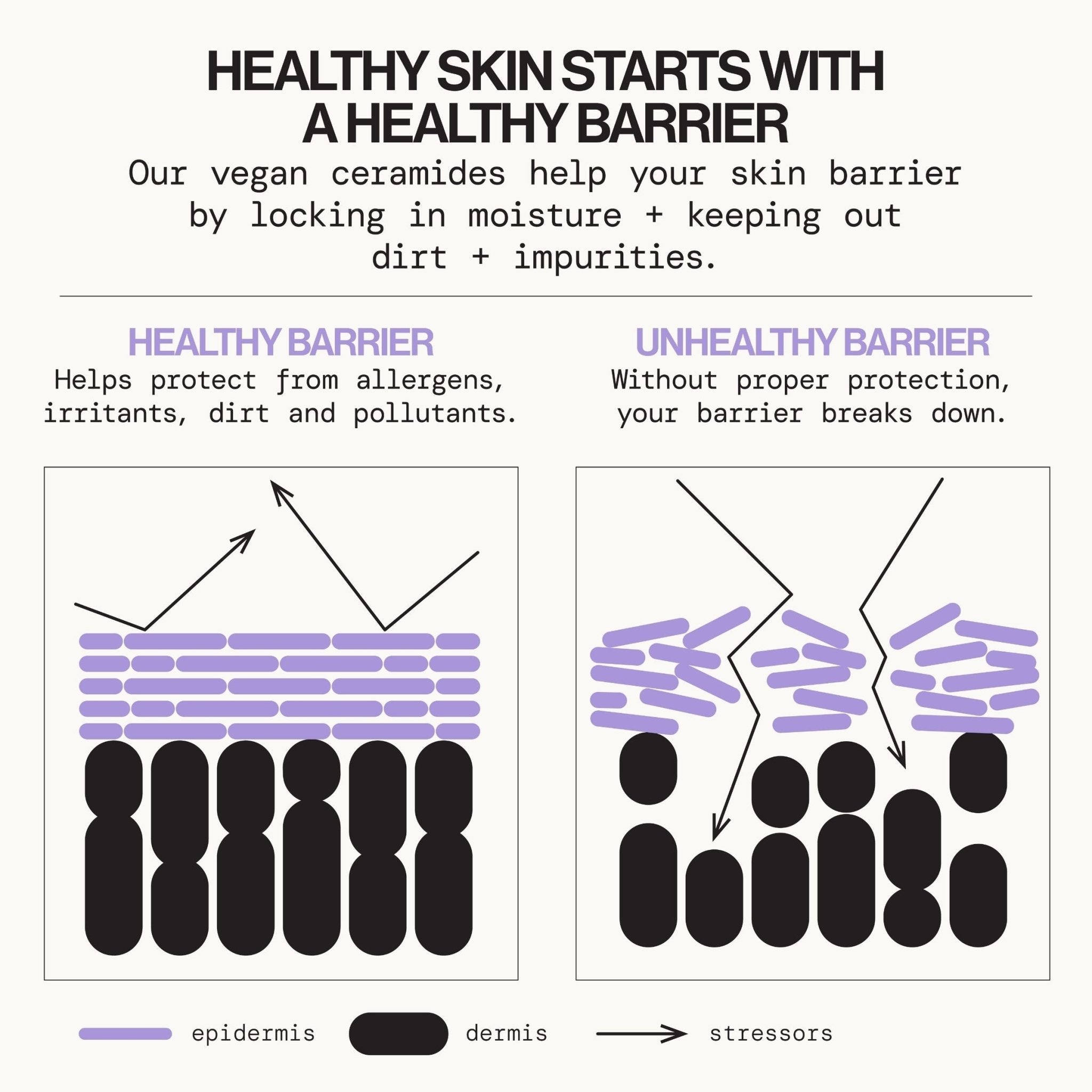 Vegan Ceramide Barrier Face Cream